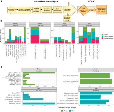 Strain level and comprehensive microbiome analysis in inflammatory bowel disease via multi-technology meta-analysis identifies key bacterial influencers of disease